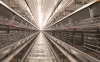 The Efficiency and Benefits of Automatic H Type Layer Battery Cages
